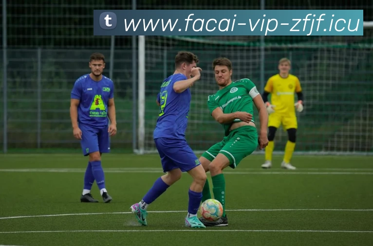 九游体育平台生态图